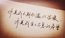 我能感受到你的温暖