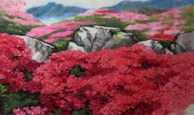 山花自有烂漫时