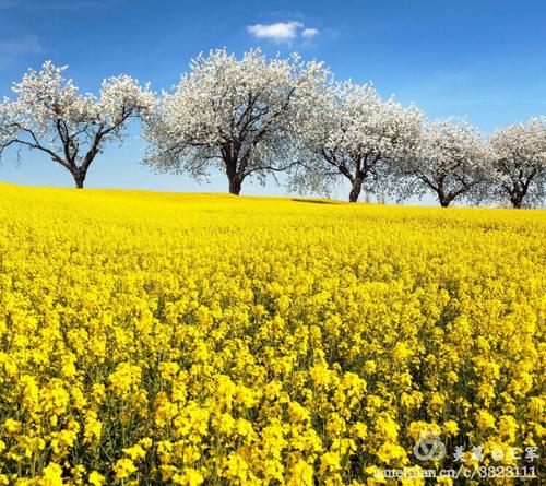 早晨的阳光，永远记住