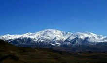 一段有爱作伴的旅程