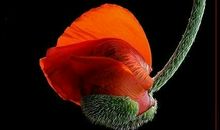 您是我最牵挂的人