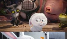 《爱宠大机密》观后感