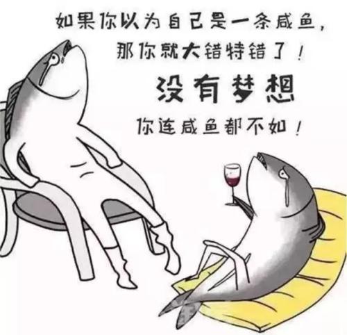 我没有理想