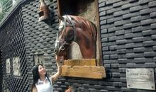 感谢最美的遇见