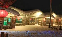 雪中的温暖_550字