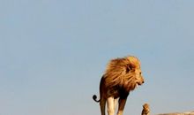 以小见大写亲情