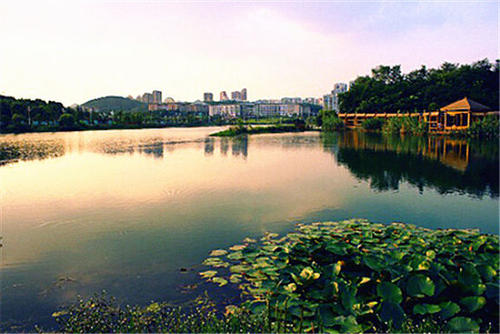 关山湖公园的春天