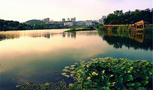 观山湖公园的春天