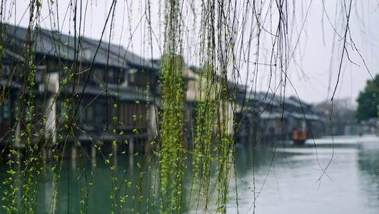 我爱春雨