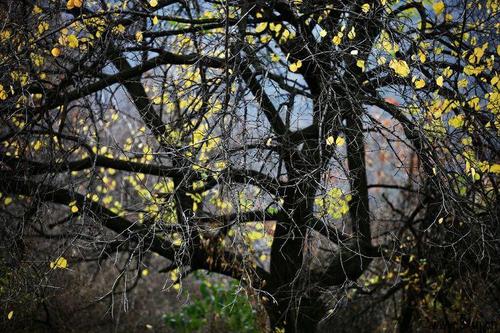 感受故乡的秋天