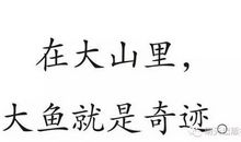 寻找鱼王读后感