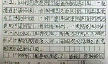 寒假亲身经历的事作文