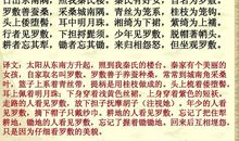 描写我的耳朵作文