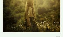 诗词让我如此美丽