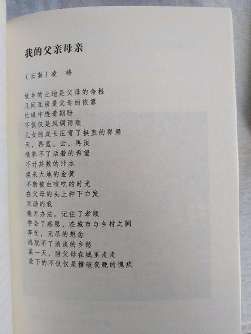 写自己的诗