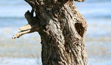 美丽但不起眼的公园