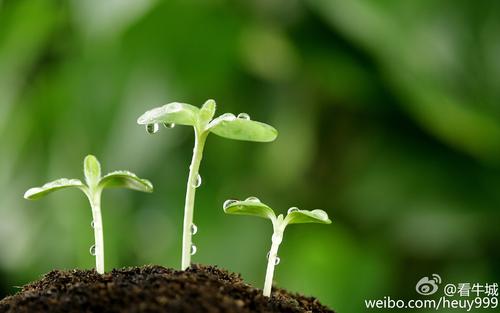 大家的春天