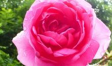 藏在雨后的精彩