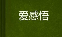 爱的感悟