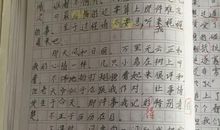 那一次我真勇敢