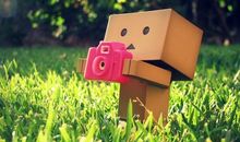 木头人与逗笑人