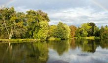 池塘里有一个世界