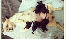 发给白雪公主的邀请信