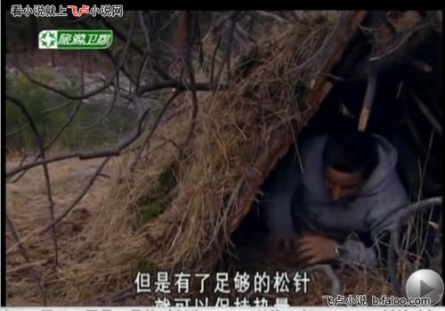 关于“一对一荒野”的思考