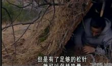 《单挑荒野》观后感