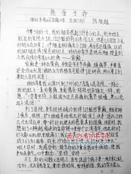 500字粉笔致敬论文