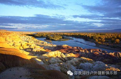 与月同行