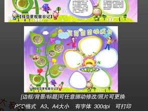 小绿豆成长日记