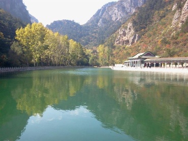 龙泉梅