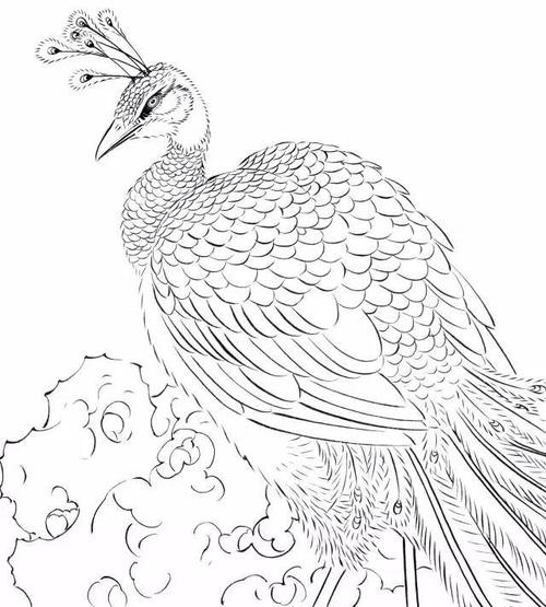 看完我的想法