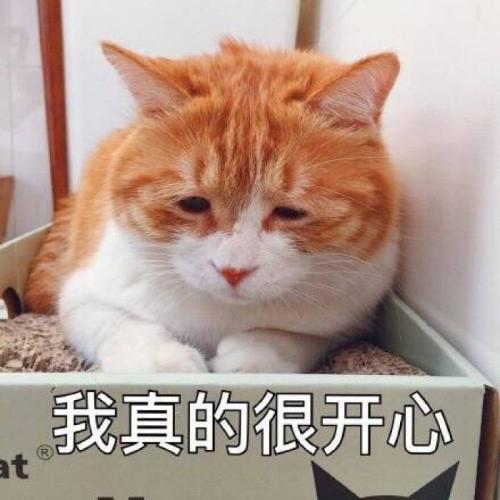 那时我真的很高兴