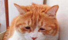 那时我真的开心极了