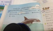 五年级作文鲸的自述