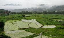 在那片希望的田野上