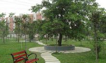 校园最美丽的一道风光