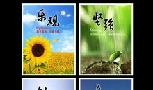 坚强，创造生命的奇迹