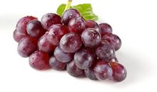 葡萄