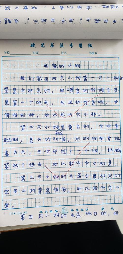 与动物的故事
