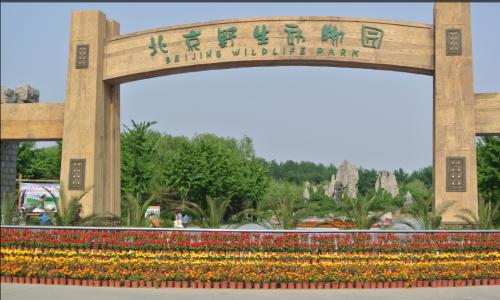 游览北京