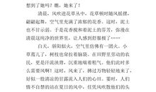 关于夏夜的作文