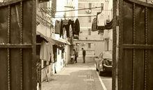 重拾儿时的记忆