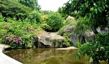 美丽的万石植物园