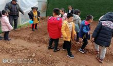 快乐的实践活动