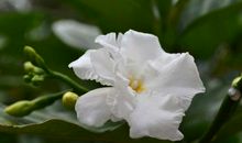 烈士们，安息吧