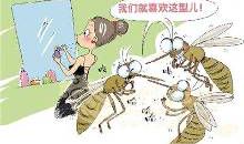 与蚊子对战