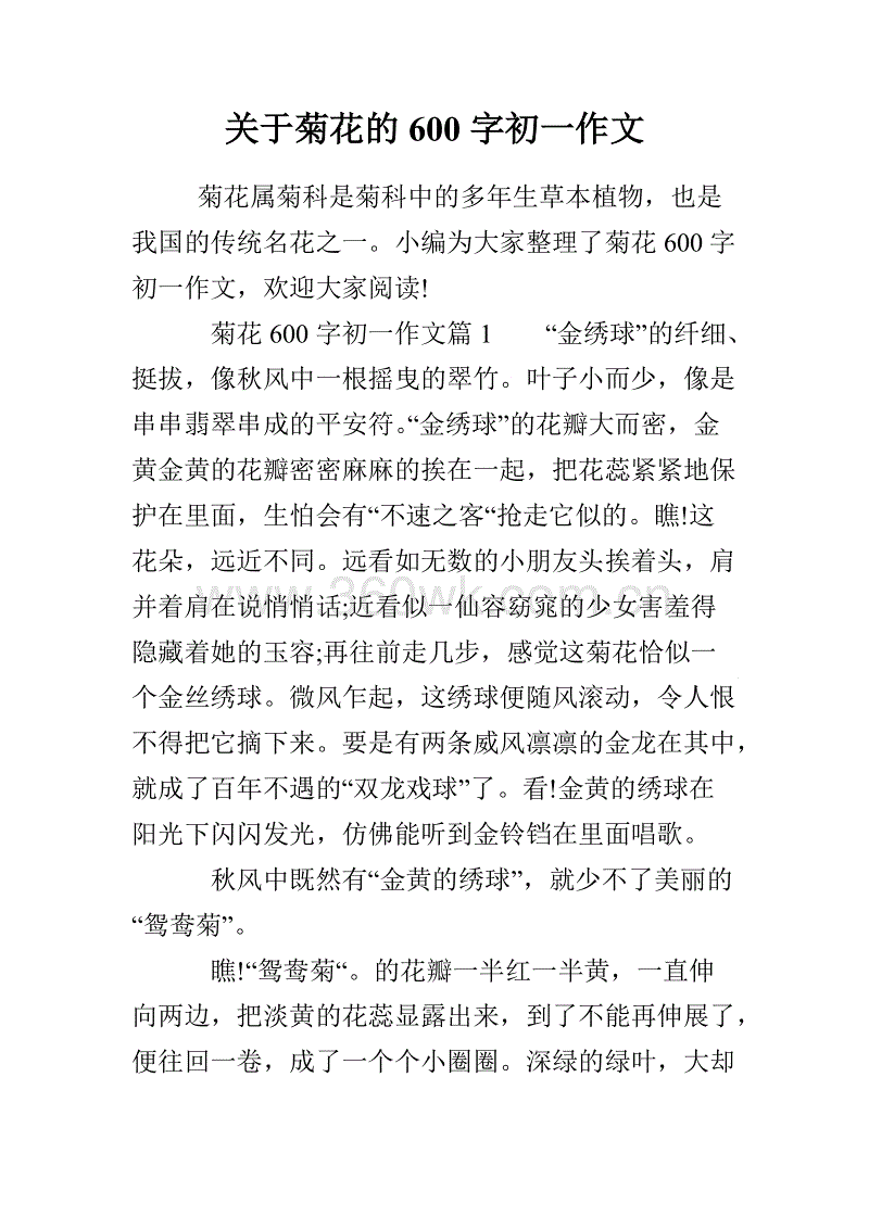 菊花说明